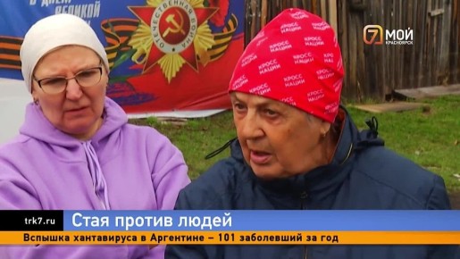 Собаки напали на ребёнка в деревне Плоское