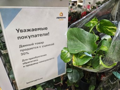 ��������� ��������: �������� ��� �������������?