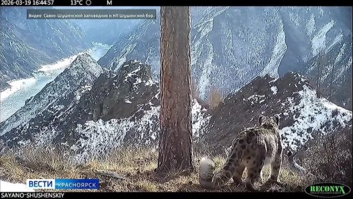 ������.NET�: ����� �������� � ����������� ������� � ���������� �����