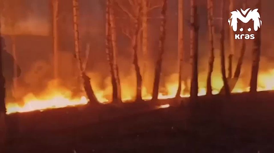 Байкер поджёг лес в Ирбейском районе