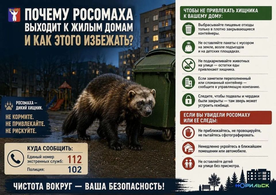 #социальнаярекламаНорильск