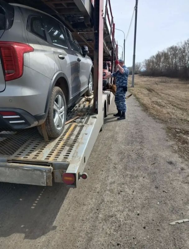 В Красноярске полицейские провели ряд оперативно-профилактических мероприятий В Красноярске полицейские провели ряд оперативно-профилактических мероприятий