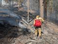 Площадь лесных пожаров в Красноярском крае увеличилась до 102 га