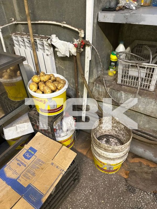Суд отказал производству «Вкусноложка» во взыскании 5 млн рублей с ТВК после съемок «Проверки» Суд отказал производству «Вкусноложка» во взыскании 5 млн рублей с ТВК после съемок «Проверки»