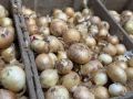 «Бизнесмены» покупали полотенца по цене лука: под суд пойдут двое жителей Красноярска за кражу из гипермаркета