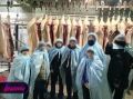 Школа в Красноярском крае устроила 8-классникам «тур» на скотобойню