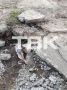 ����� ������������ ����� �� ����� ����������� �������� ����� � ������������ �����