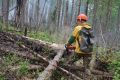 Сразу несколько лесных пожаров тушат в Енисейском округе