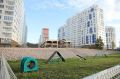 В Красноярске откроют еще шесть площадок для выгула собак