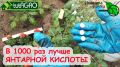 ��� ������� ����� ����� ���������: ��������� ��������� ��� ������� ����