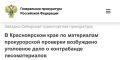 � ������������ ���� �� ���������� ������������ �������� ���������� ��������� ���� � ����������� ��������������