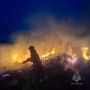В Красноярском крае за сутки потушили 15 пожаров