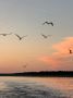 #рекаморе. Фото предоставлено: