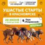� ����������� ������ ������� �������� ������� � ����� � �������� � ������ �����������