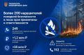 Лес не прощает беспечности: с начала сезона к ответственности привлечены уже 249 нарушителей