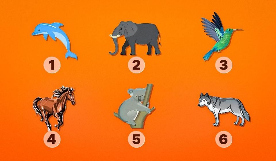 Раскройте тайны своего духа: тест на тотемное животное