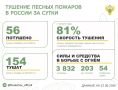 За прошедшие сутки в 14 регионах России потушили 65 лесных пожаров