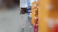 �� ������ ������������� ���� � ���������������� ������ ����� 200 ����� ������ ������������������ ��������� �� 100 ��������� ������