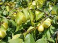 �����: ��� ������� ��������� ���� ��� ������� ������ � �������� ���������� ������