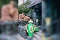 � ������� �������� ��������� �������