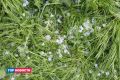 ���� ����������: ������� ������ �� ������ ������ ����