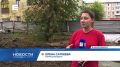 Высоченный тополь обрушился на двухэтажку в красноярском микрорайоне Энергетики