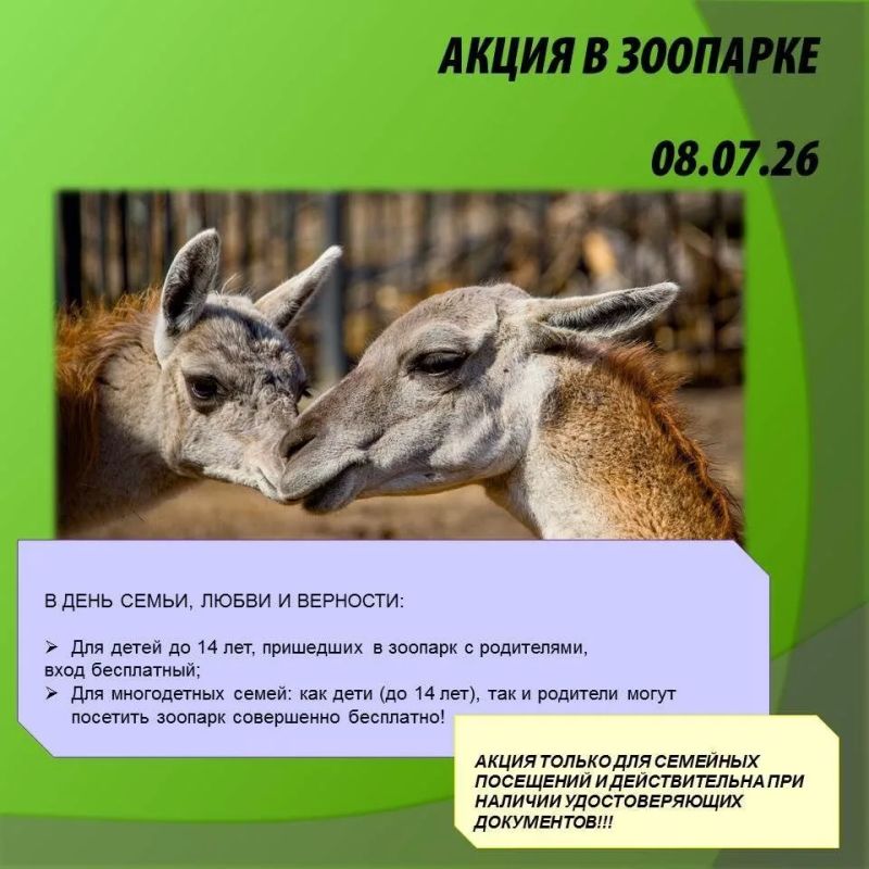 Жители и гости Абакана с детьми смогут бесплатно посетить зоопарк 8 июля