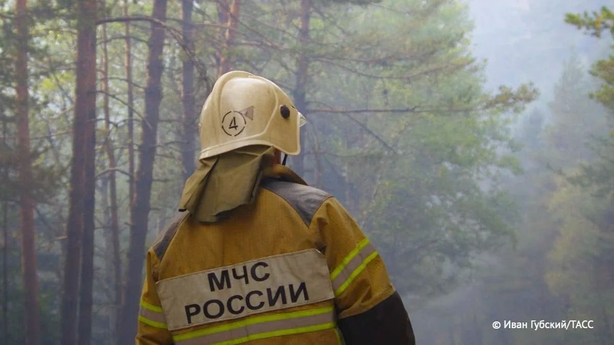 Площадь пожаров в лесах Красноярского края за выходные сократилась почти на 10 тыс
