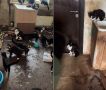 �������, ��������� ���� 100 �����, ������ � �����������
