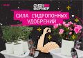 �����������: ������� ���� � ������ ��� �����