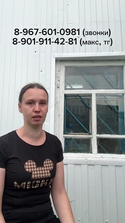 Один из самых известных подопечных красноярского центра «Инстинкт» – Кэди-Федор – пропал