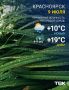 ������ �� 9 ����. ��� � MAX | Telegram | �� | ����