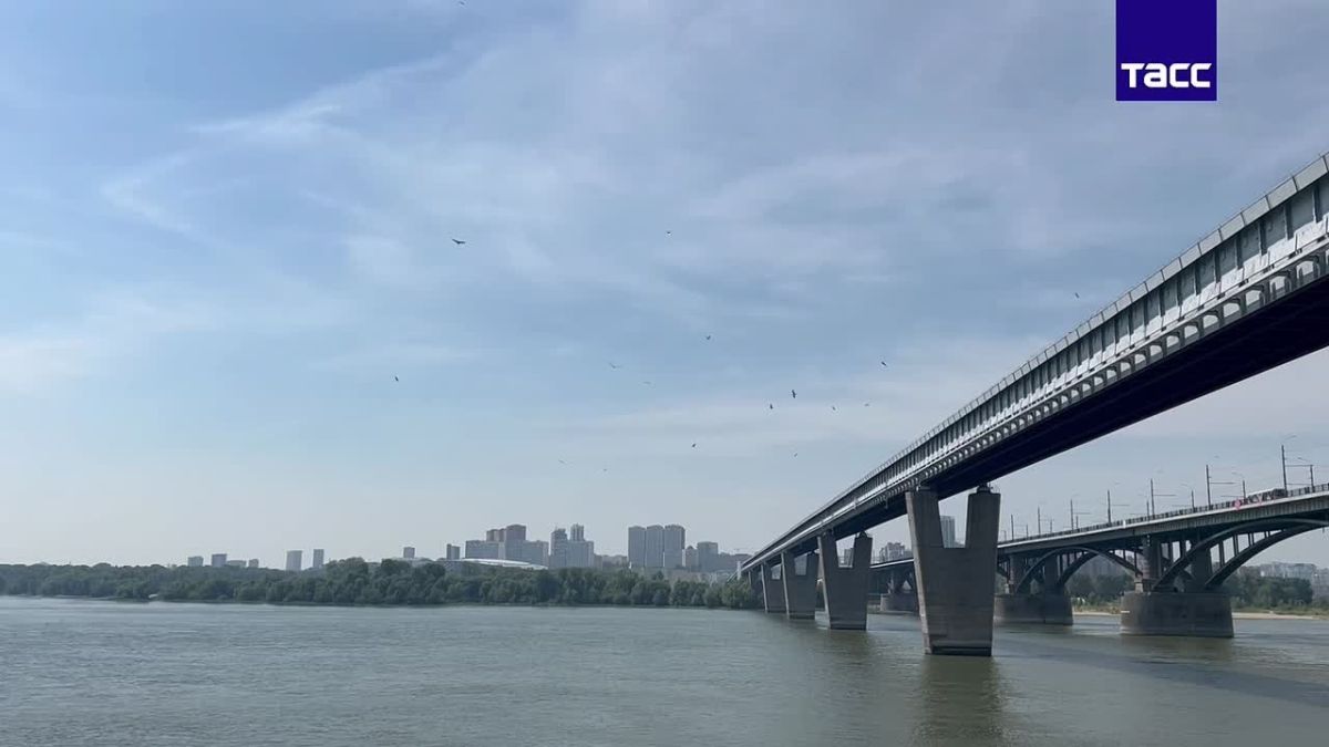 Северный ветер принес в Новосибирск дымку и запах гари от лесных пожаров из Томской области, сообщили ТАСС в Западно-Сибирском УГМС