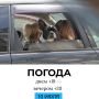 Погода на сегодня