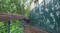 КОМУ ПРИНАДЛЕЖИТ ВОДОЁМ?. Жители Красноярска обеспокоены состоянием водоёмов в сквере Трёх озёр на Пашенном