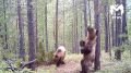 ���� ���� ��������� �� ������ �� ������� ���� �������-�������� � �����-��������� ����������� � �� ������ �� �� ������