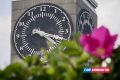 Главные Gornovosti недели: дожди, штрафы для самокатчиков, результаты ЕГЭ и приключения выдры Кэди-Фёдора
