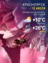 Погода на сегодня. Днем +26 ТВК в MAX | Telegram | ВК | Буст