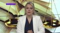 «Вопросы юристу»: какое наказание грозит владельцам собак за выгул в неположенном месте?