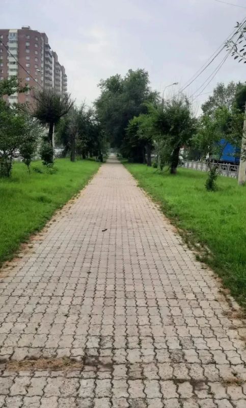 «Голос горожан услышан». Бульвар Ботанический ждёт преображение, и вы можете стать его соавтором!