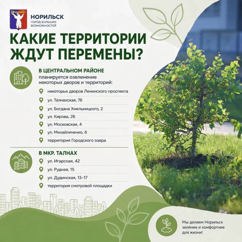 Друзья, мы видим ваши вопросы и комментарии о работах по озеленению города Друзья, мы видим ваши вопросы и комментарии о работах по озеленению города