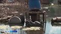 В СНТ «Черёмушки-1» вместо огородов теперь сплошное болото