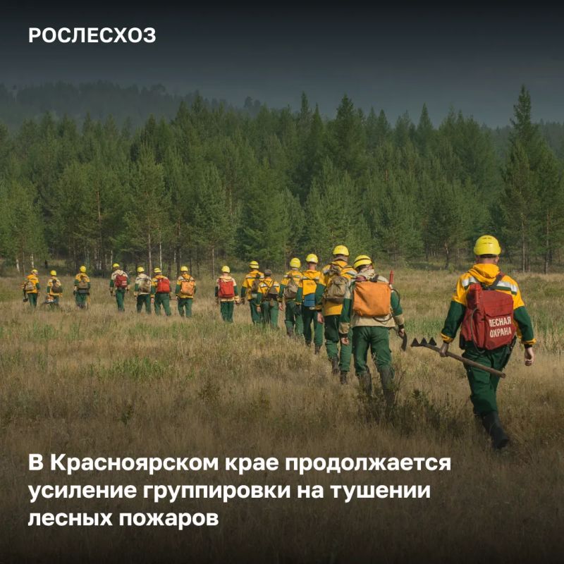 В Красноярский край дополнительно направят 32 десантника-пожарного Федеральной Авиалесоохраны