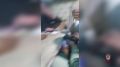 � ������������ ���� ������� �������� 4 ���� ������� �� ��������� ����������