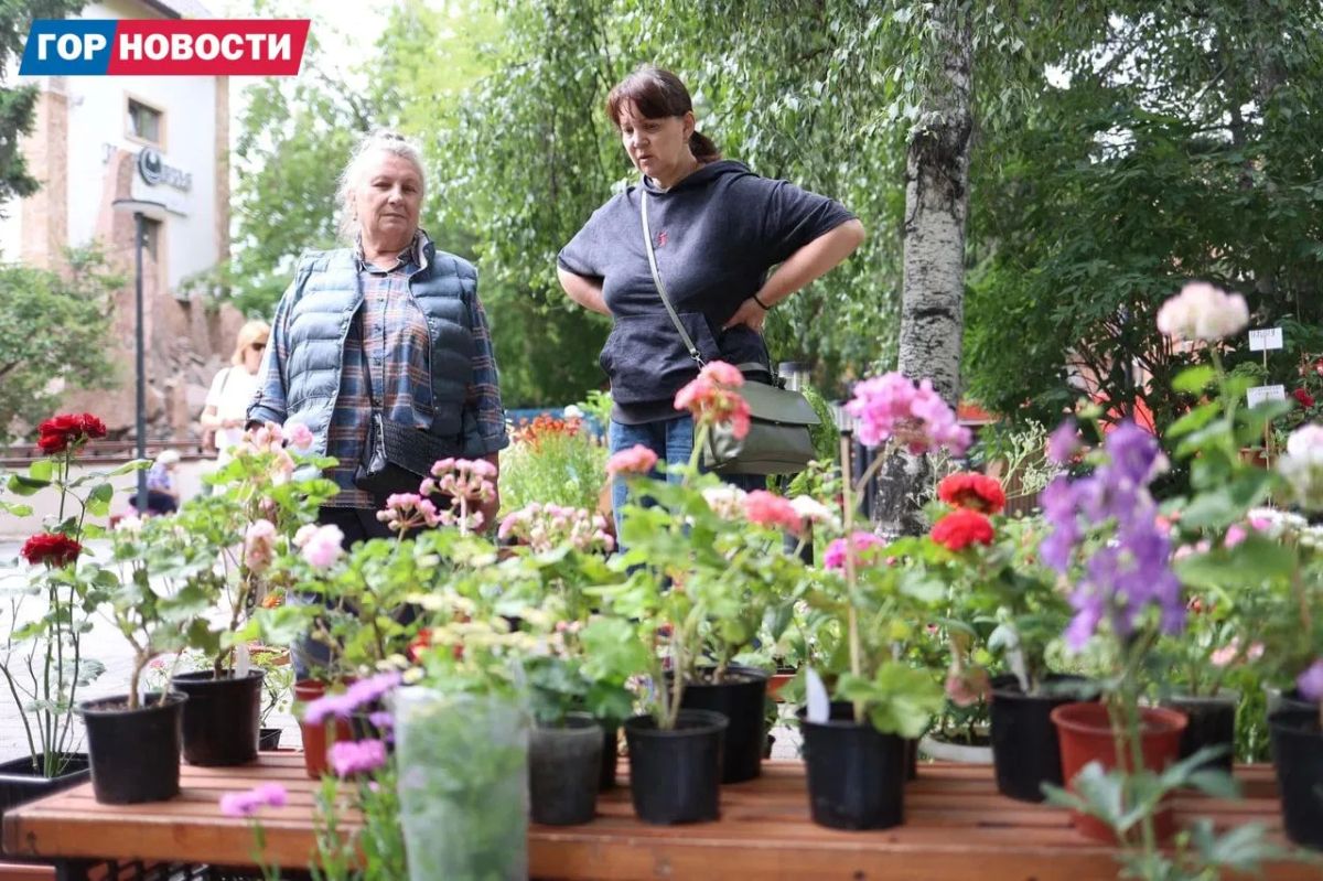 В сквере Пушкина проходит выставка для садоводов В сквере Пушкина проходит выставка для садоводов