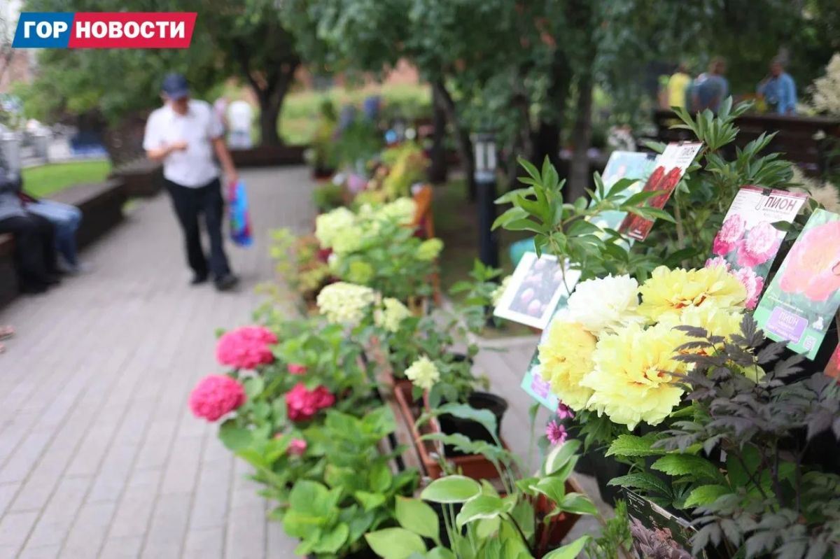 В сквере Пушкина проходит выставка для садоводов В сквере Пушкина проходит выставка для садоводов