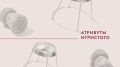 Тайны игристого: от пробки до плакетки