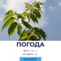 Погода на сегодня. @gornovosti «Горновости» в ВК | «Горновости» в МАХ