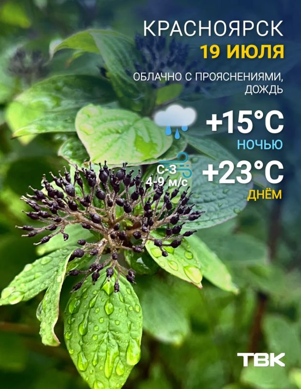Погода на 19 июля