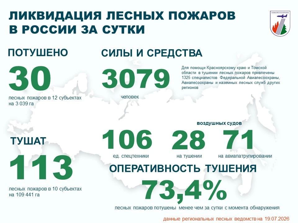 За прошедшие сутки в России потушено 30 лесных пожаров в 12 регионах